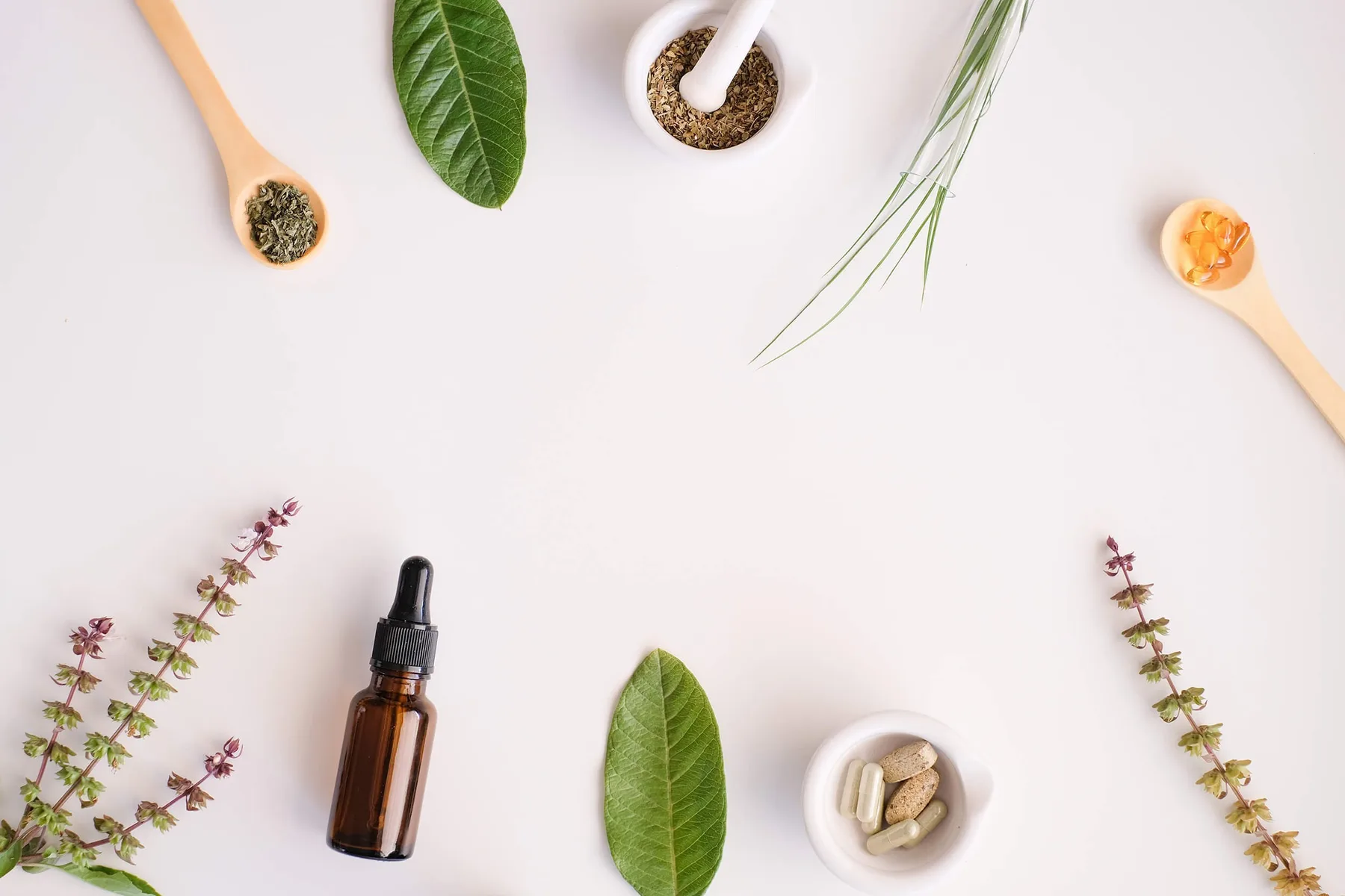 Dr. Dale Wellness